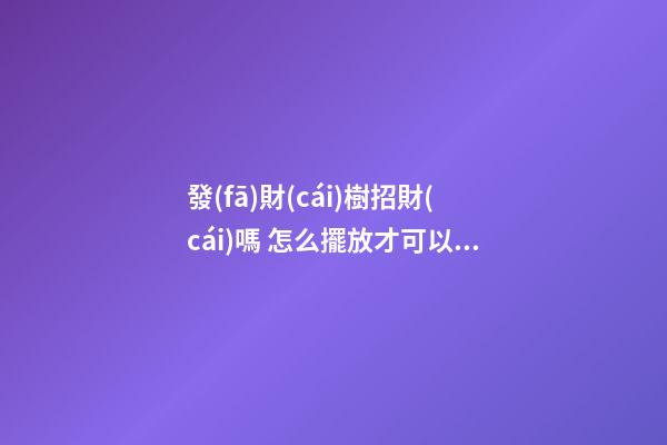 發(fā)財(cái)樹招財(cái)嗎 怎么擺放才可以招財(cái)